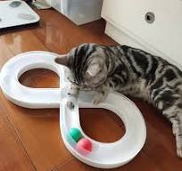Dynamic infinity loop ball track interactive cat toy, perfect for feline play, enrichment, and indoor cat activity.