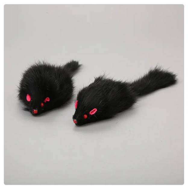 Active cat toy mouse with string, promoting mental stimulation and healthy physical exercise.