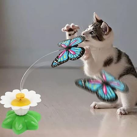 Interactive cat toy with a fluttering butterfly encourages active play & exercise for indoor cats.