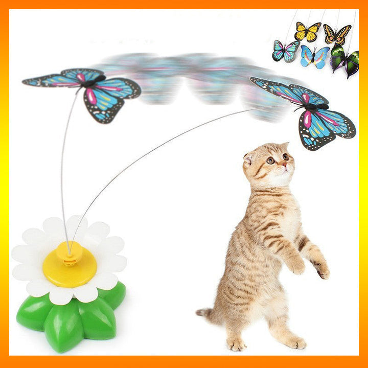 Vibrant butterfly cat toy for engaging feline fun. Perfect pet entertainment & hunting play for active cats.