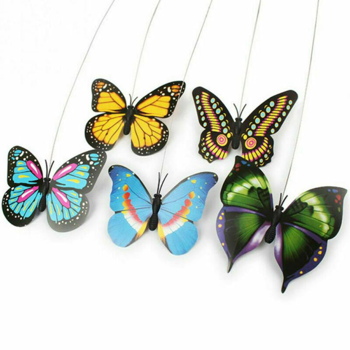 Engaging interactive butterfly cat toy designed for indoor cats, providing hours of fun, play & exercise.