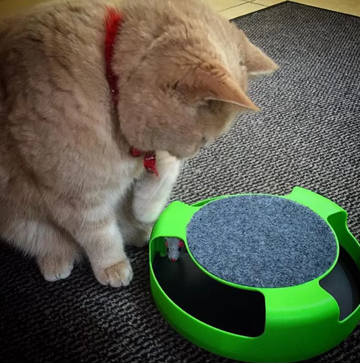 Innovative interactive cat toy featuring a moving mouse, designed for endless fun and engaging pet play.