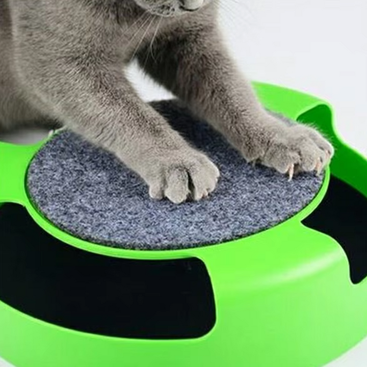 Top-down view of the interactive cat toy, highlighting the moving mouse mechanism for engaging hunting play.