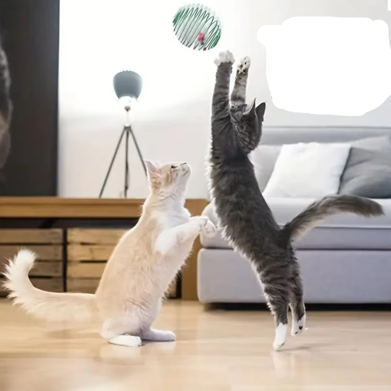 Engaging spiral mice cat toy for interactive play, stimulating natural hunting instincts.