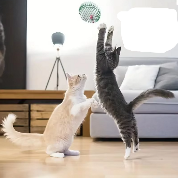 Engaging spiral mice cat toy for interactive play, stimulating natural hunting instincts.
