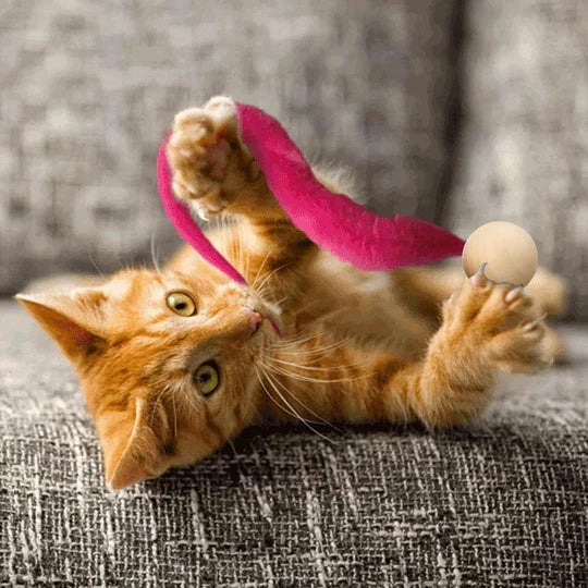 Bell & wagging tail interactive cat toy. Keeps indoor cats active & entertained with engaging motion.