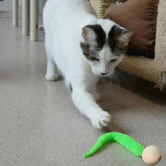 Kitten toy with wagging tail & bell for active play. Provides endless entertainment & sensory enrichment.