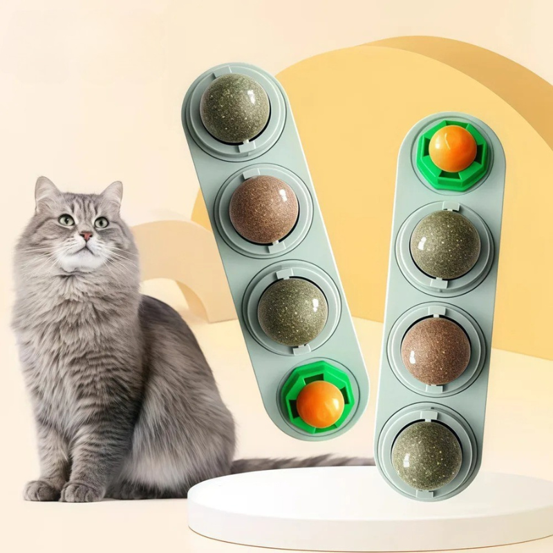 Interactive catnip wall toy for feline dental health & enrichment. Promotes play & cleans teeth for happy cats.