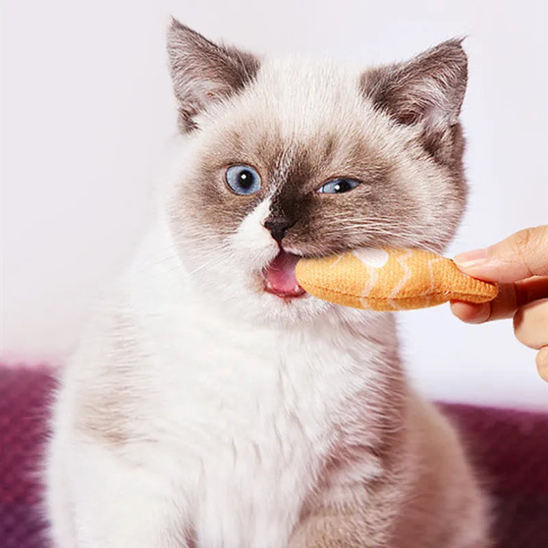 Realistic fish catnip toys for interactive feline play, enrichment, and dental care.