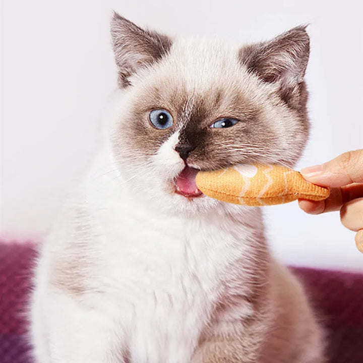 Realistic fish catnip toys for interactive feline play, enrichment, and dental care.