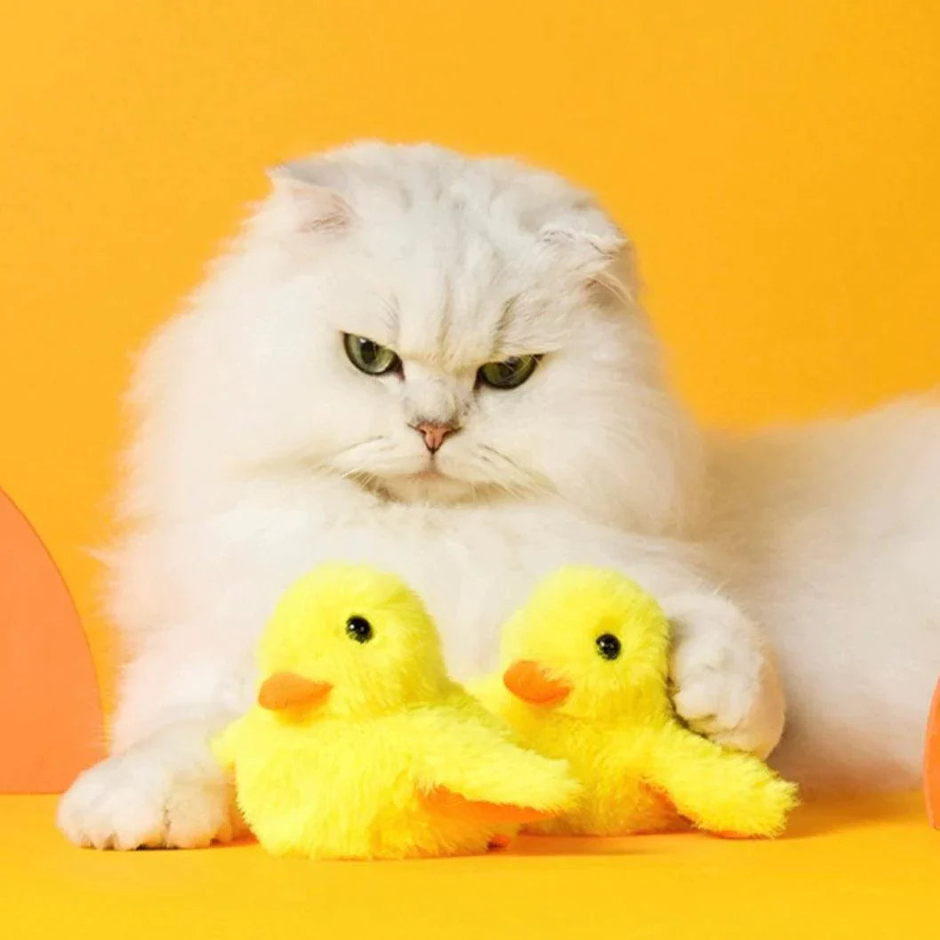 Interactive flapping duck cat toy for feline exercise & mental stimulation. USB-C rechargeable, washable plush.