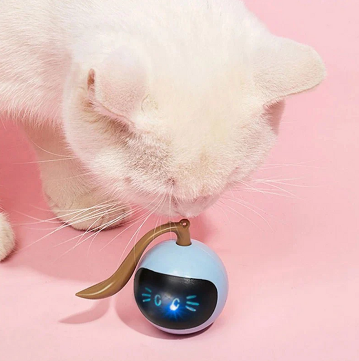 Interactive LED cat toy ball for engaging feline fun and active pet play.