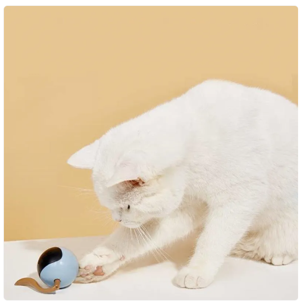 Engaging LED cat toy sphere, rechargeable for endless hours of active playtime.