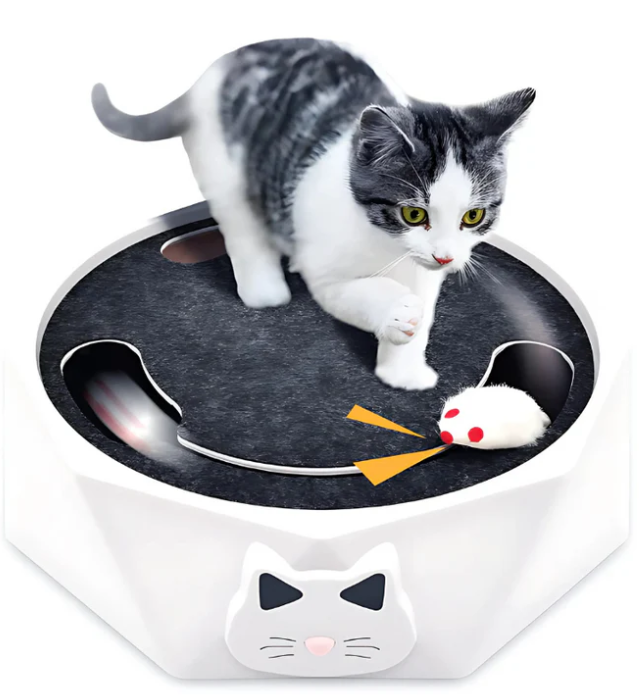 Interactive moving mouse cat toy for active indoor cats' endless fun.