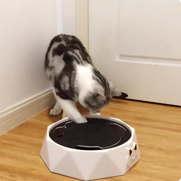 Engaging interactive cat toy with a realistic moving mouse for endless fun.
