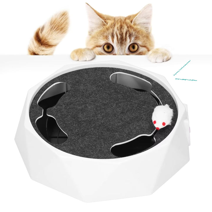 Pet enrichment moving mouse toy, keeping indoor cats active & entertained.