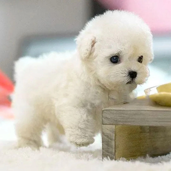 Cuddly robotic puppy companion, lifelike electronic pet with soft vegan leather. Portable & quiet interactive toy.