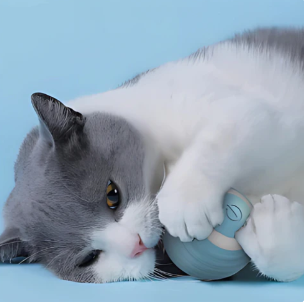 Cat's rolling play ball with a soft feather tail encourages interactive pet fun & exercise.