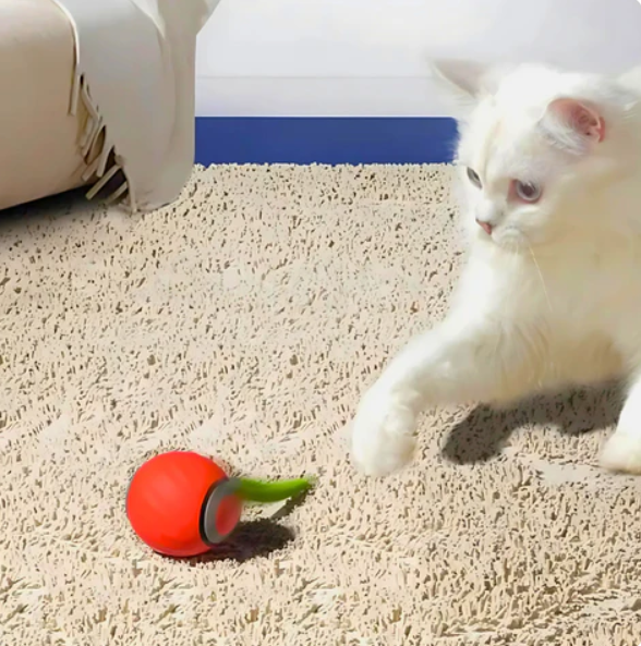 Vibrant interactive rolling cat toy ball with an enticing feather tail; perfect for playful cats.