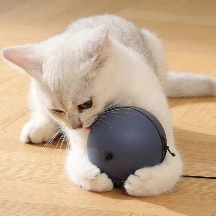 Interactive Smart HuntSphere rolling cat toy for active feline entertainment & independent play. Durable pet supply.