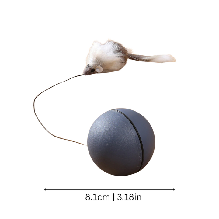 Smart HuntSphere rolling cat toy with teaser ball for active play & feline agility. Promotes independent pet entertainment.