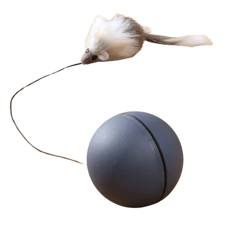 Dynamic HuntSphere rolling cat toy provides endless interactive fun & stimulates independent play for active cats.