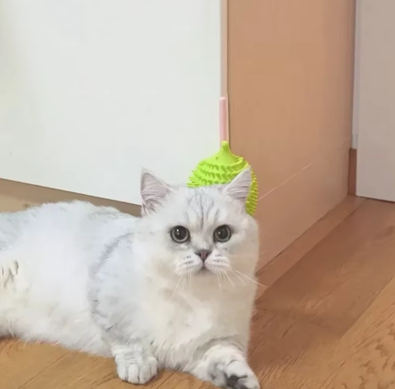 Interactive UFO silicone catnip toy for cats, stimulating feline play & exercise. Durable and engaging pet fun.