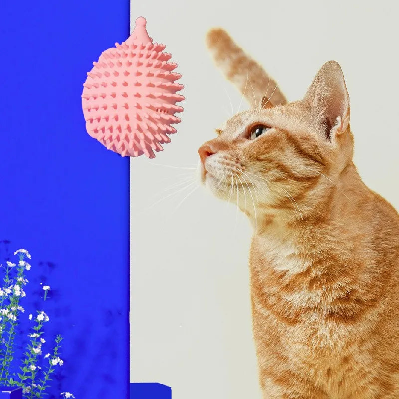 Cat's interactive UFO silicone catnip toy & teaser stick for exercise, mental stimulation & fun pet play.