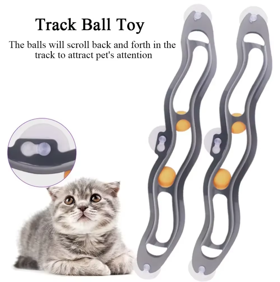 Interactive window ball track cat toy for feline fun & enrichment, a great indoor pet supply.