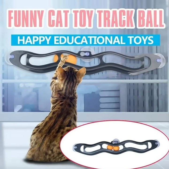 Engaging window ball track cat toy for feline friends, promoting indoor cat play & activity.