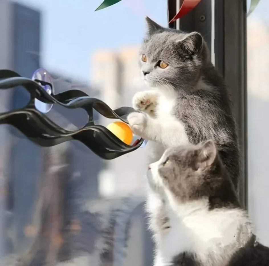 Interactive track cat toy with balls, mounts to window for stimulating feline play & exercise.