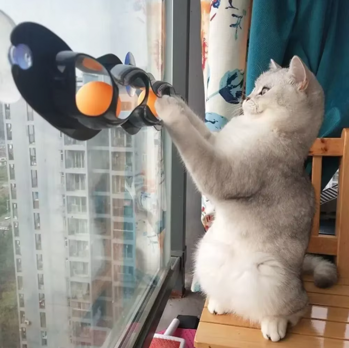 Keeps indoor cats active & entertained. Window mounted ball track cat toy for enrichment.
