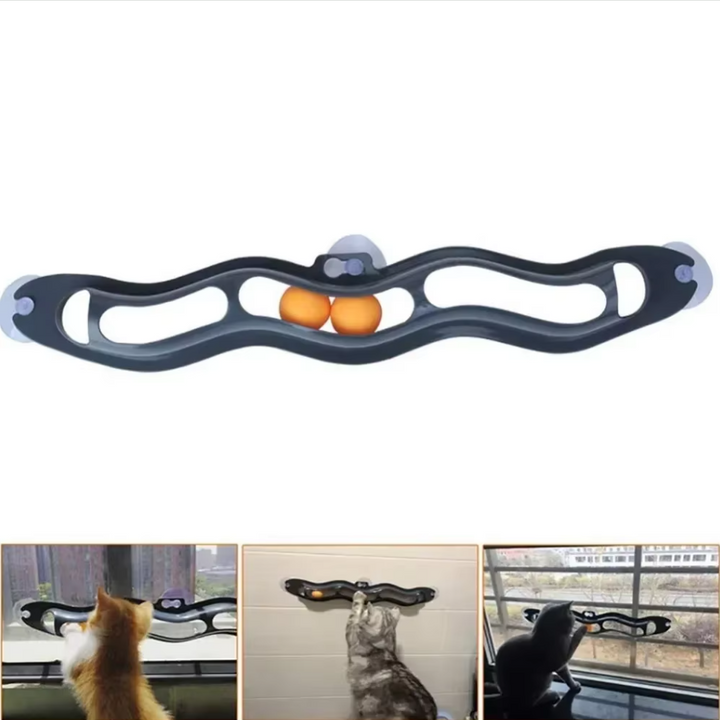 Cat batting at balls on a window-mounted track toy, promoting chase & exercise for indoor cats.