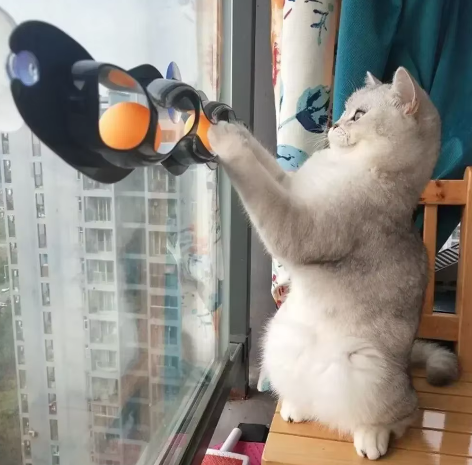 Interactive window cat play track with movable balls, perfect for indoor feline enrichment and activity.