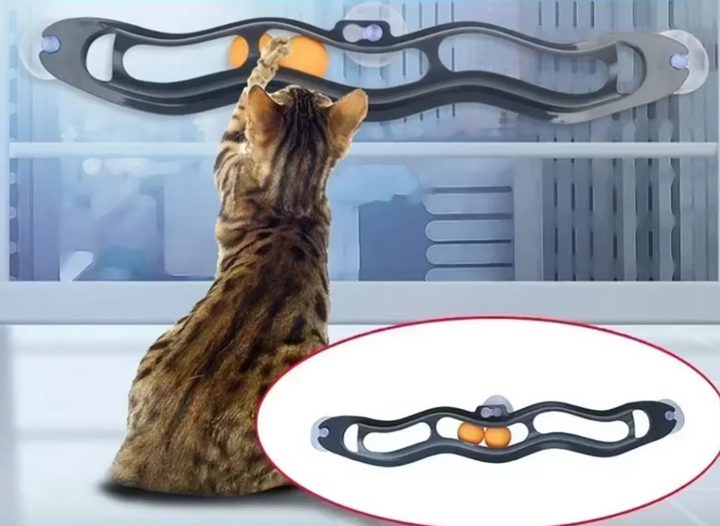 Feline enrichment: window cat play track with multiple movable balls for stimulating indoor cat entertainment.
