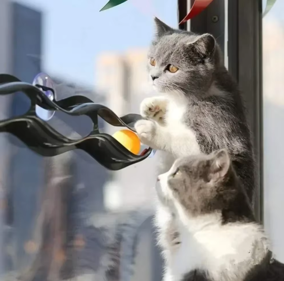 Easy-to-install window cat toy track, keeping indoor cats active with fun movable balls and strong suction cups.