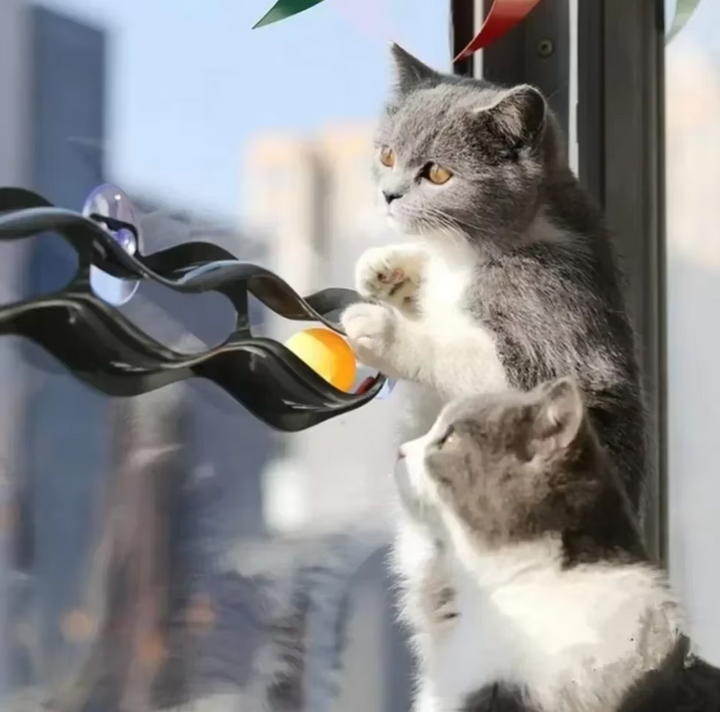 Easy-to-install window cat toy track, keeping indoor cats active with fun movable balls and strong suction cups.