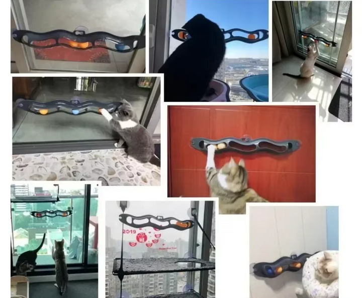 Give your indoor cat endless fun with this interactive window play track, featuring captivating movable balls.