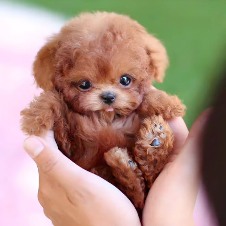 Kids' interactive robotic puppy toy, a lifelike electronic dog that walks, barks, and wags for hours of fun.