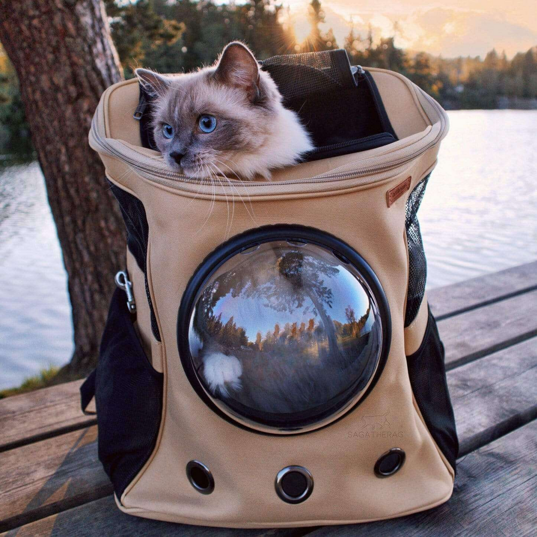 Large gray cat travel backpack with bubble window, perfect for outdoor feline adventures.
