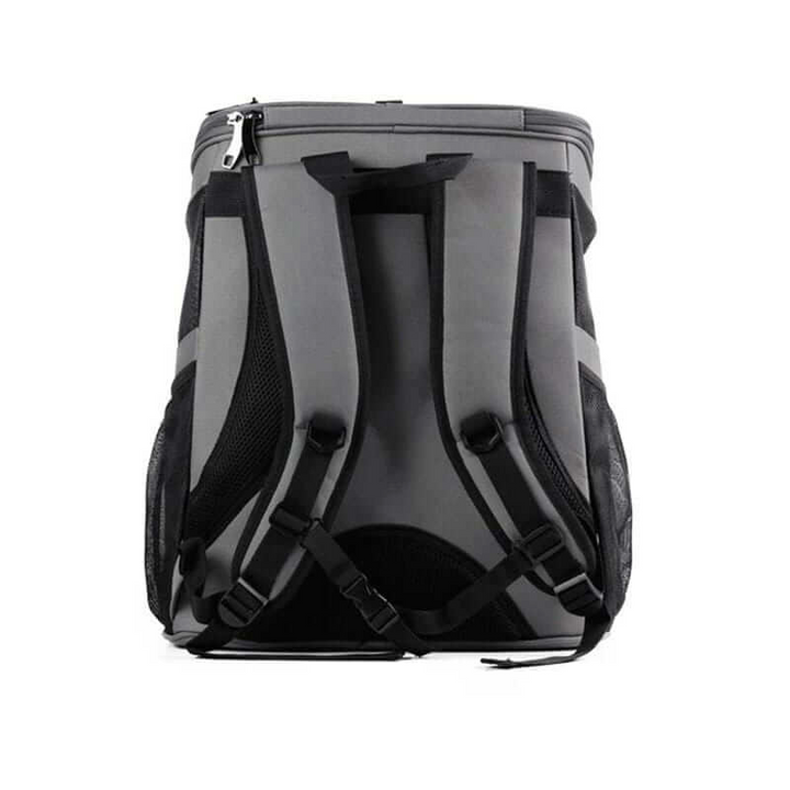 Gold cat travel backpack with a clear bubble window, ideal for safe and comfortable pet travel.