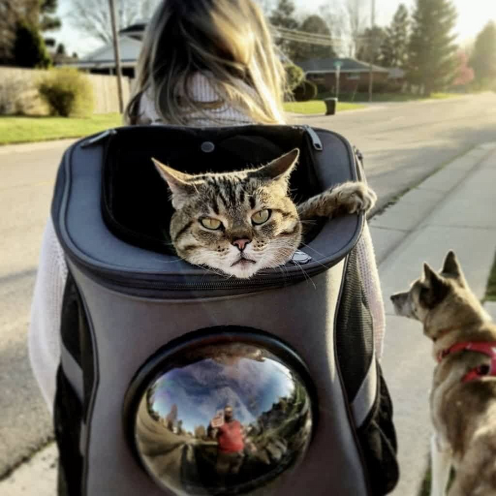 Breathable large cat carrier backpack with bubble window, ensuring secure and enjoyable feline journeys.
