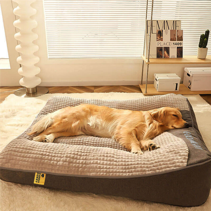 Luxury large dog bed featuring dense memory foam and a soft velvet cover, providing superior comfort & support.