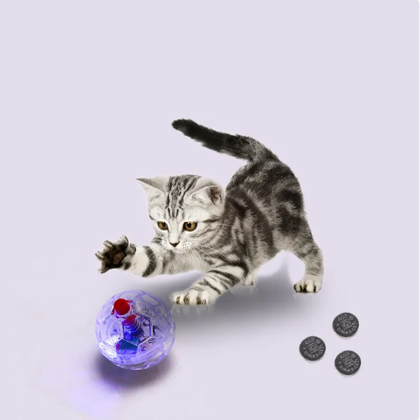 Luminous LED football dog toy for interactive fetch & play, glowing brightly for active dogs in low light.