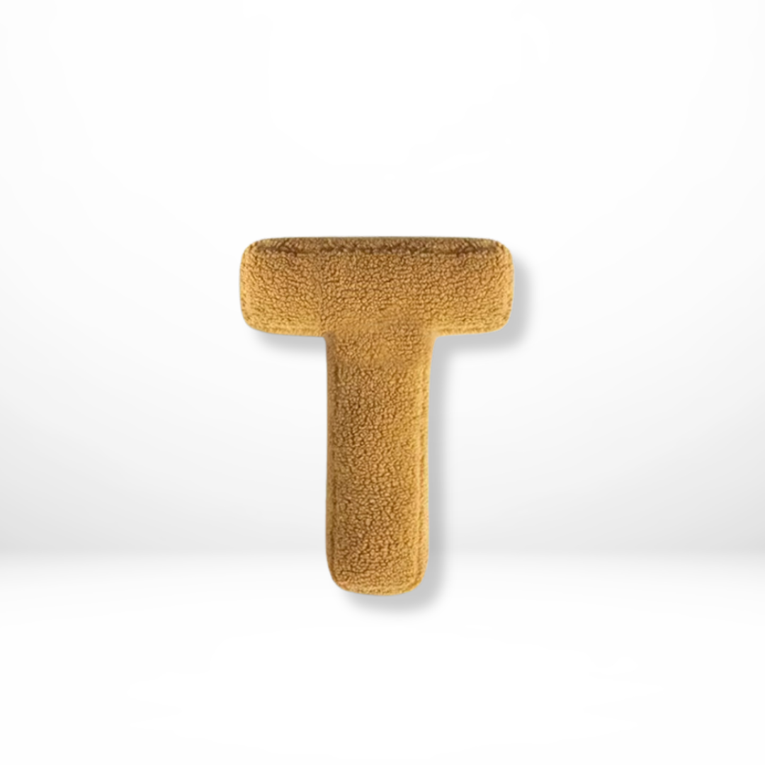 Personalized initial velvet cushion, a charming decorative element for any home.