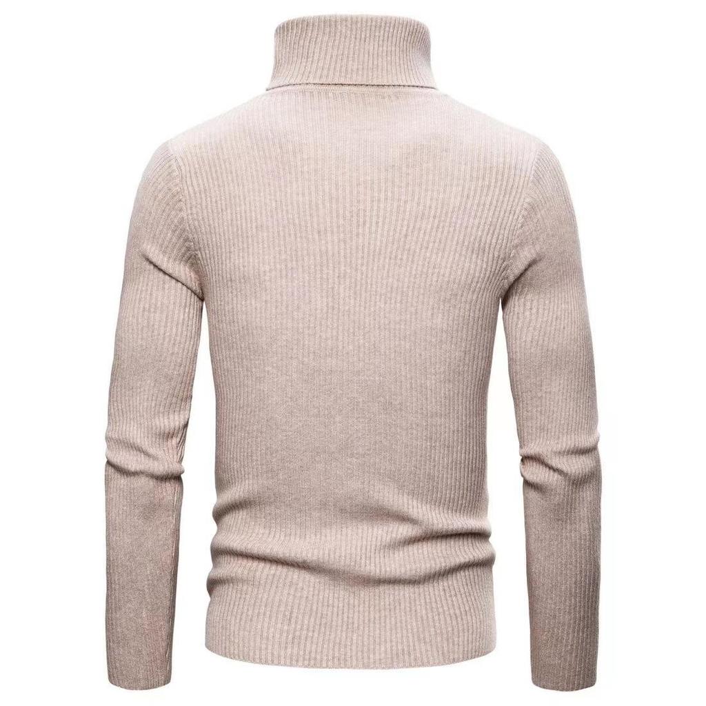 Sophisticated men's turtleneck sweater for a polished look.