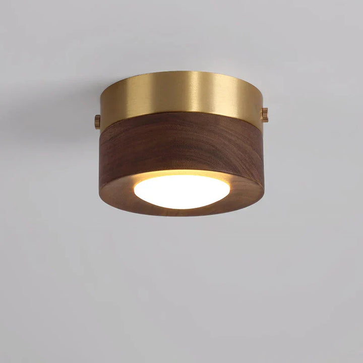 Minimalist round wooden LED ceiling light with walnut finish, ideal for modern home decor. Energy-efficient ambient lighting.