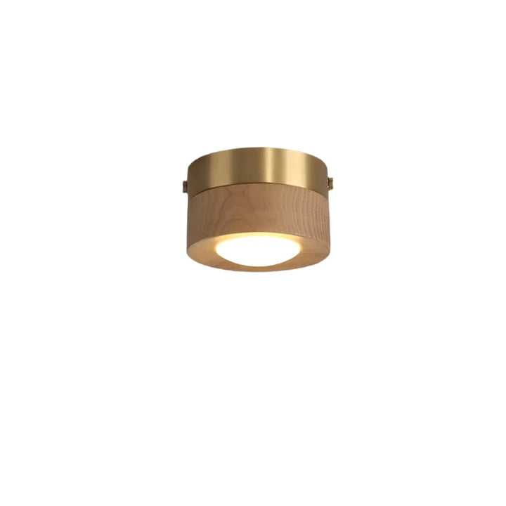 Modern minimalist round LED ceiling light in natural walnut wood. Perfect for stylish interior lighting & home decor.