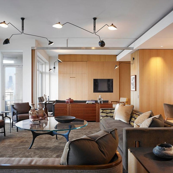 Designer adjustable ceiling light fixture, enhancing modern interior home decor.