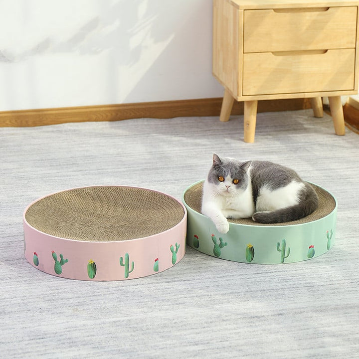 Modern cat cactus scratching board. Protects furniture, engages cats.